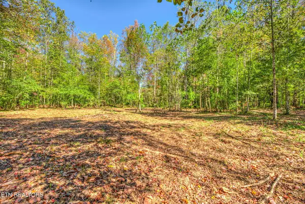 1446 Cove Lane, Oliver Springs, TN 37840