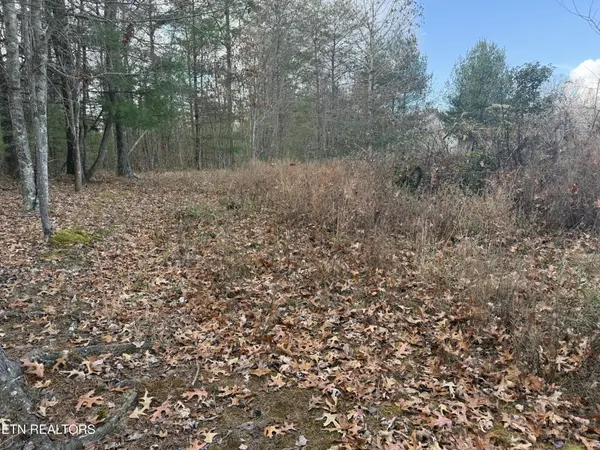 0 Valerie Drive 10.77 acres Driv, Deer Lodge, TN 37726
