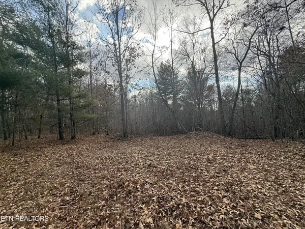 0 Valerie Drive 10.77 acres Driv, Deer Lodge, TN 37726