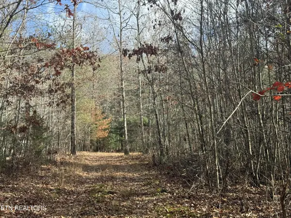 0 Valerie Drive 10.77 acres Driv, Deer Lodge, TN 37726