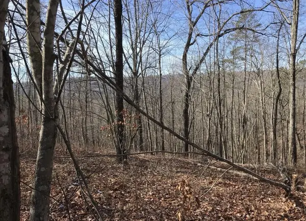 0 Chestnut Oak Drive, Dunlap, TN 37327