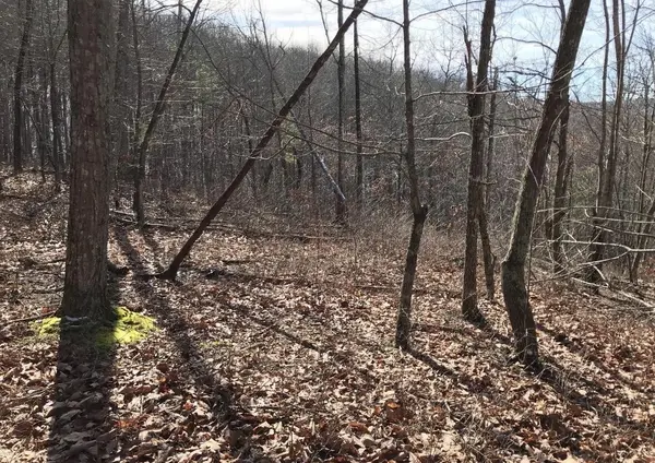 0 Chestnut Oak Drive, Dunlap, TN 37327