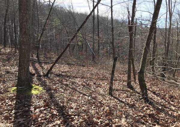 0 Chestnut Oak Drive, Dunlap, TN 37327
