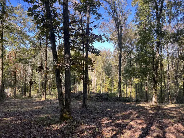 0 Shoreside Dr, Smithville, TN 37166
