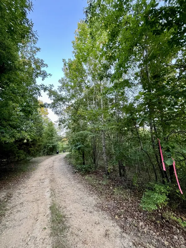 1 Remnant Way, Linden, TN 37096