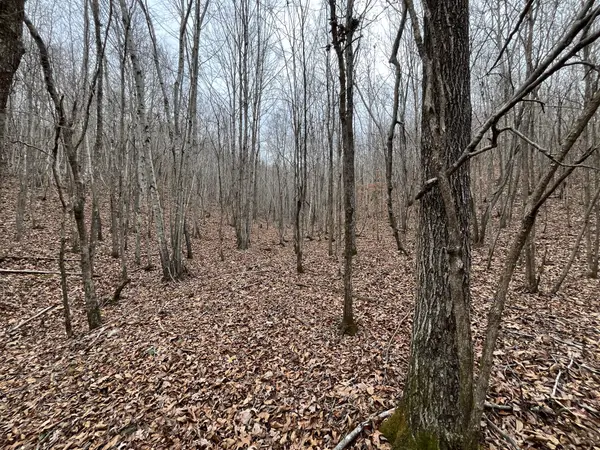 1 Remnant Way, Linden, TN 37096