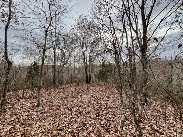 1 Remnant Way, Linden, TN 37096