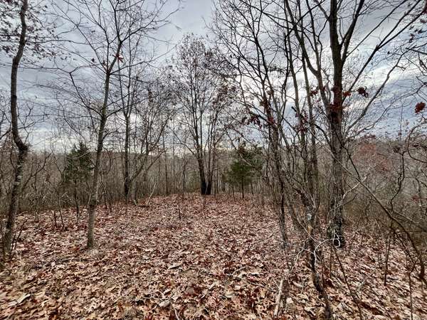 1 Remnant Way, Linden, TN 37096