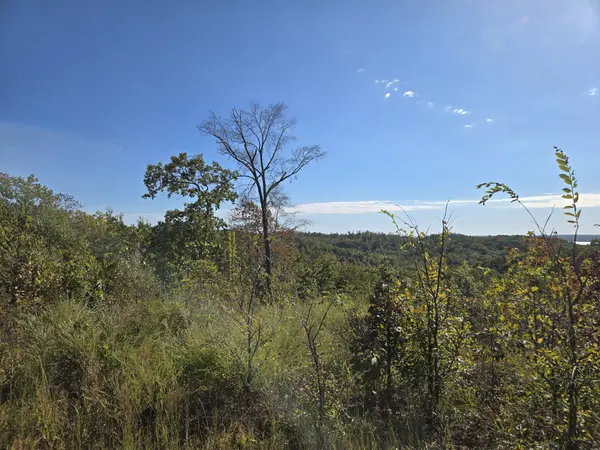 0 Vista Ridge, Stewart, TN 37175