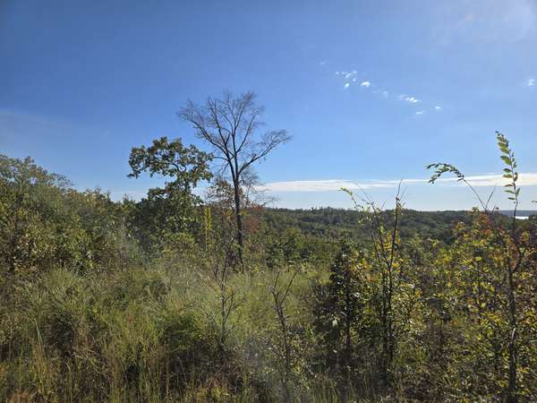 0 Vista Ridge, Stewart, TN 37175