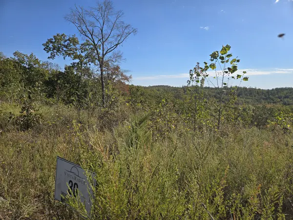 0 Vista Ridge, Stewart, TN 37175