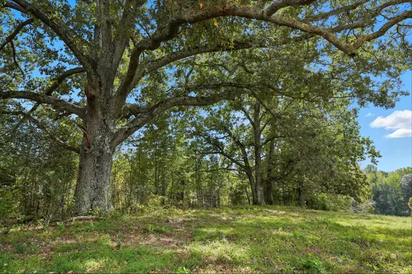 0 Liberty Road, Sparta, TN 38583