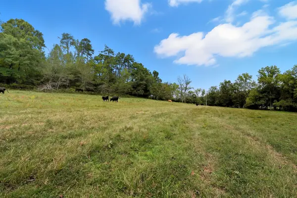 0 Jenkins Road, Sparta, TN 38583