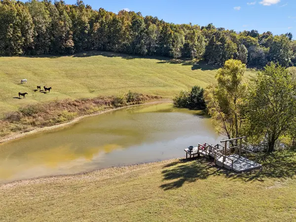 2846 Fuller Hollow Rd, Cornersville, TN 37047