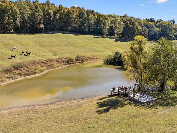 2846 Fuller Hollow Rd, Cornersville, TN 37047