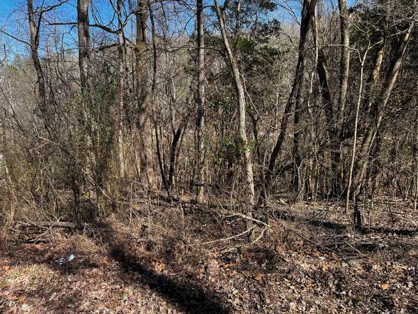 0 Lakeshore Dr, Dover, TN 37058