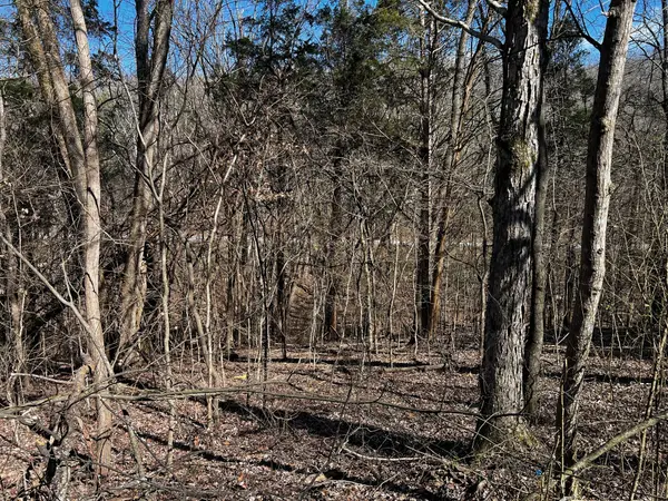 0 Lakeshore Dr, Dover, TN 37058