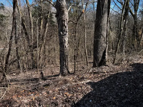 0 Lakeshore Dr, Dover, TN 37058