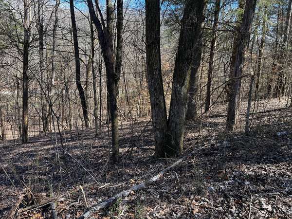 0 Lakeshore Dr, Dover, TN 37058