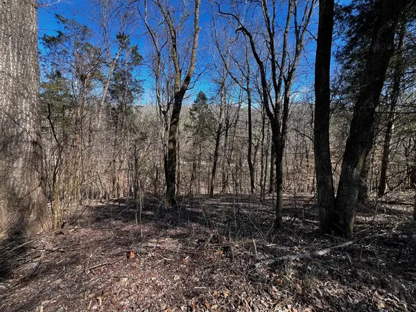 0 Lakeshore Dr, Dover, TN 37058