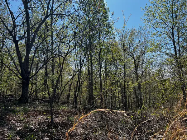 0 Shores Trail, Stewart, TN 37175