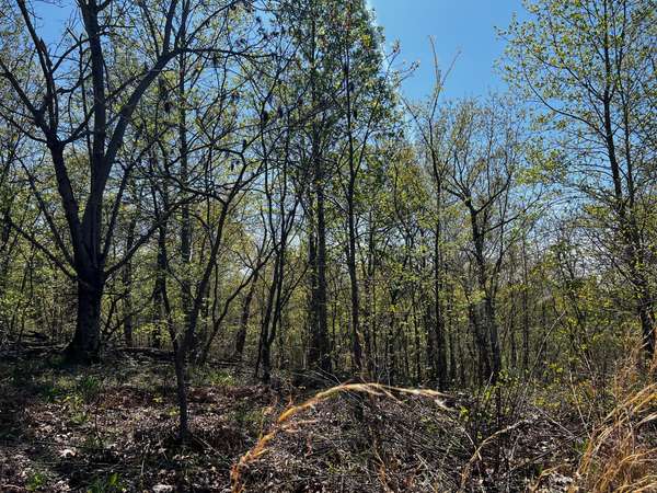 0 Shores Trail, Stewart, TN 37175