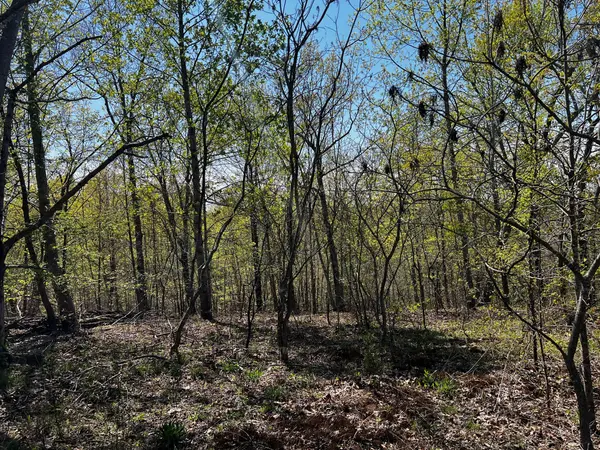 0 Shores Trail, Stewart, TN 37175