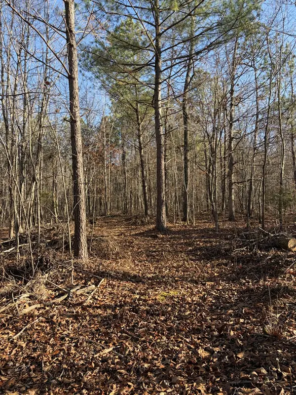 0 Hatley Rd, Lyles, TN 37098