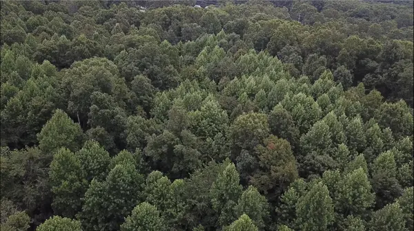0 Hatley Rd, Lyles, TN 37098