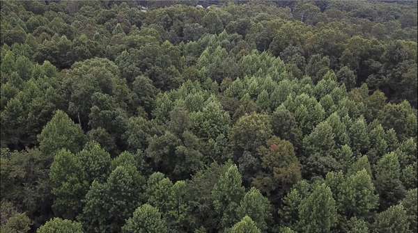 0 Hatley Rd, Lyles, TN 37098