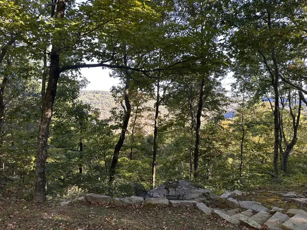 0 Azalea Ln, Mc Minnville, TN 37110