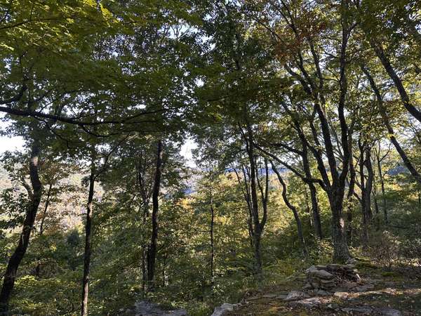 0 Azalea Ln, Mc Minnville, TN 37110