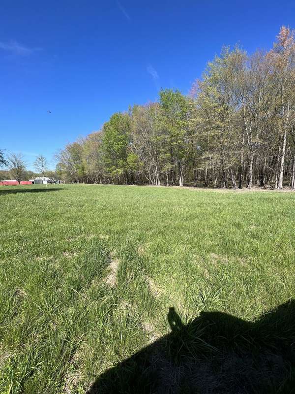 21 Highway 52E, Lafayette, TN 37083