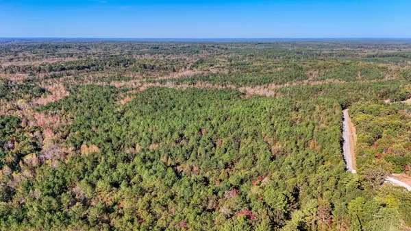 0 Cavia Rd, Westport, TN 38387