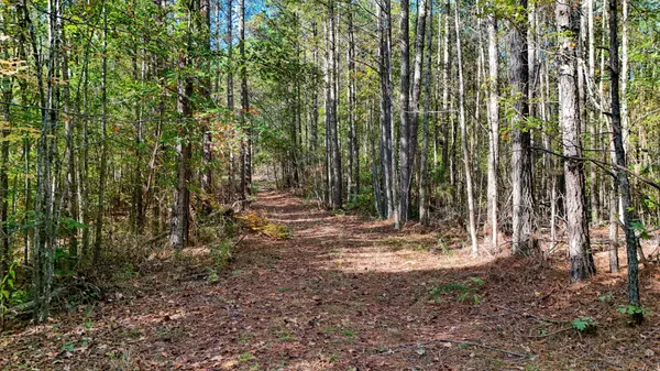 0 Cavia Rd, Westport, TN 38387