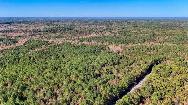 0 Cavia Rd, Westport, TN 38387