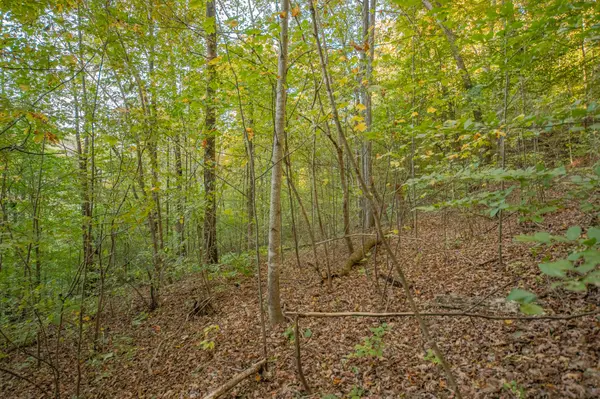 0 John Barnes Rd, Cornersville, TN 37047