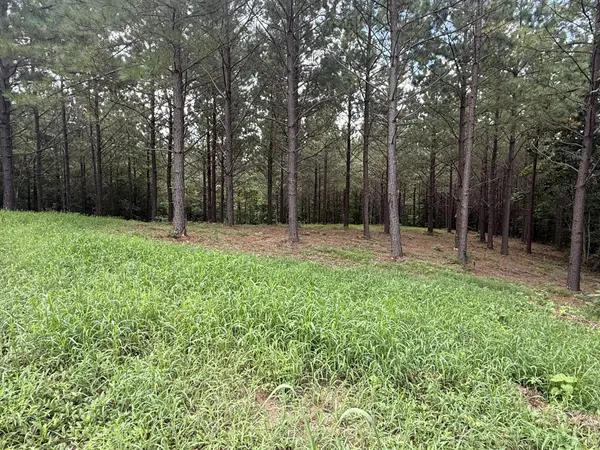 5608 Old Hohenwald rd, Linden, TN 37096