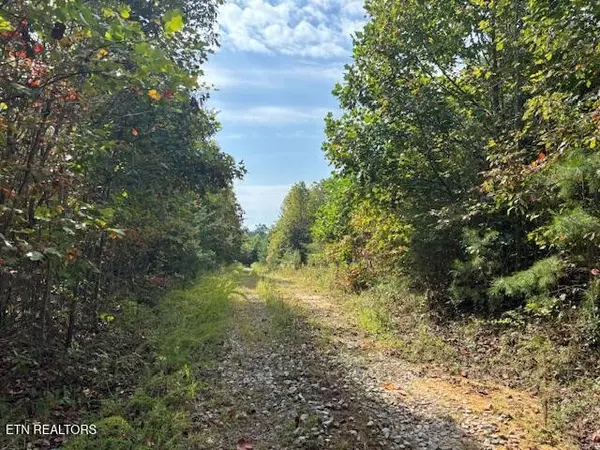 0 Otis Davis Rd, Pikeville, TN 37367