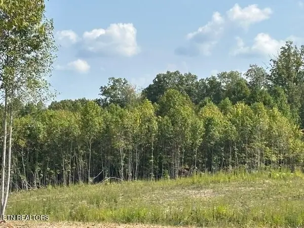 0 Otis Davis Rd, Pikeville, TN 37367