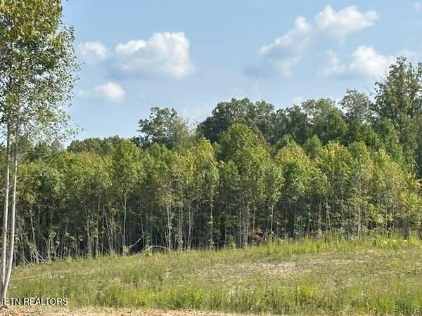 0 Otis Davis Rd, Pikeville, TN 37367