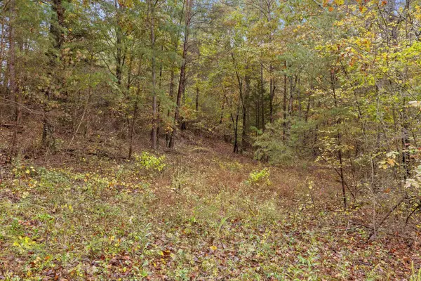 0 Countryside Drive, Dunlap, TN 37327