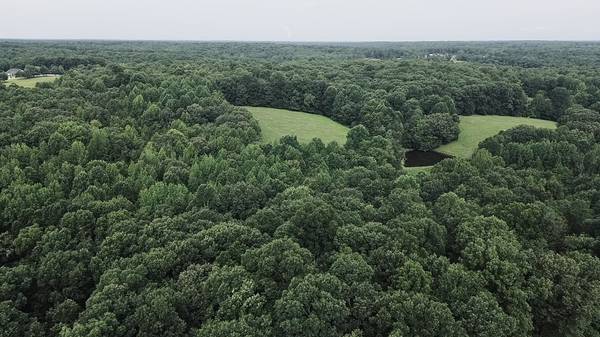 5128 Louise Rd, Cumberland Furnace, TN 37051