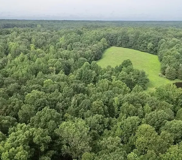 5128 Louise Rd, Cumberland Furnace, TN 37051