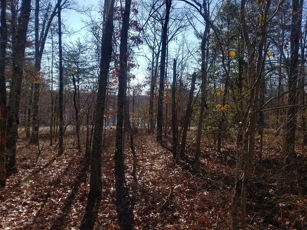 44 Hemlock Ln, Spencer, TN 38585