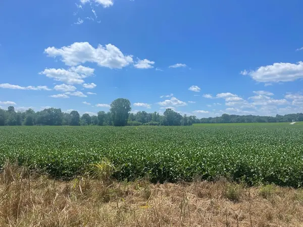 0 Ditty Road, Cookeville, TN 38506