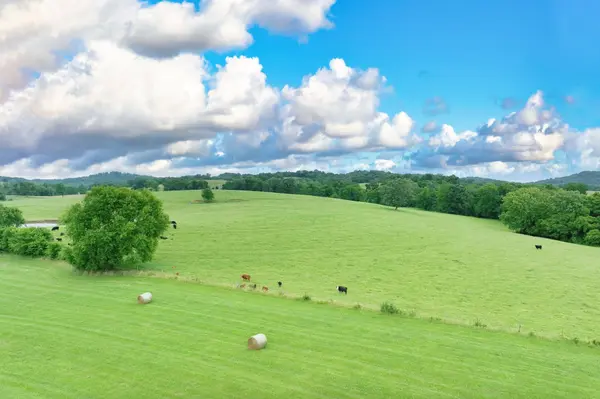 6 Deshea Creek Rd, Gallatin, TN 37066
