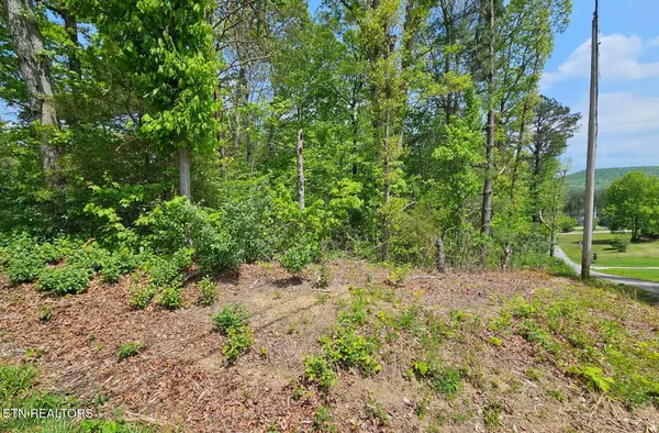 0 Sutherland Drive, Helenwood, TN 37755