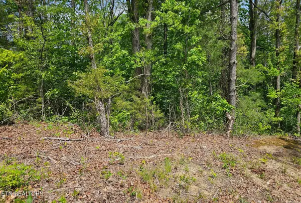 0 Sutherland Drive, Helenwood, TN 37755