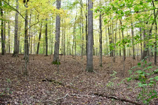 0 Jackson Cabin Road, Kingston Springs, TN 37082